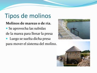 Tipos de molinos
Molinos de mareas o de ría.
 Se aprovecha las subidas
de la marea para llenar la presa
 Luego se suelta dicha presa
para mover el sistema del molino.
 