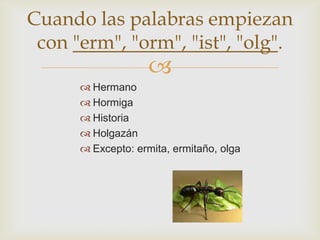 Cuando las palabras empiezan
con "erm", "orm", "ist", "olg".



 Hermano
 Hormiga
 Historia
 Holgazán
 Excepto: ermita, ermitaño, olga

 