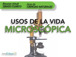 Grado 4 Usos de la vida microcoscopica 