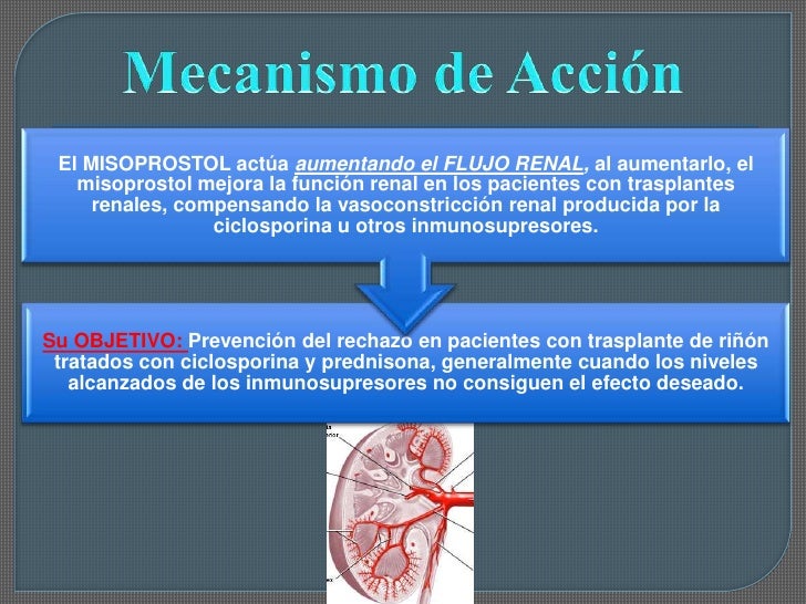 Prednisone no prescription online