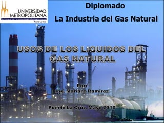 Diplomado  La Industria del Gas Natural 