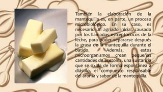 También la elaboración de la
mantequilla es, en parte, un proceso
microbiológico. En su caso, es
necesario un agriado inicial, causado
por los llamados estreptococos de la
leche, para poder separarse después
la grasa de la mantequilla durante el
batido. Además, estos
microorganismos crean pequeñas
cantidades de acetoína, una sustancia
que se oxida de forma espontánea a
diástilo, el compuesto responsable
del aroma y sabor de la mantequilla.
 