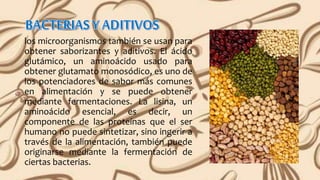 los microorganismos también se usan para
obtener saborizantes y aditivos. El ácido
glutámico, un aminoácido usado para
obtener glutamato monosódico, es uno de
los potenciadores de sabor más comunes
en alimentación y se puede obtener
mediante fermentaciones. La lisina, un
aminoácido esencial, es decir, un
componente de las proteínas que el ser
humano no puede sintetizar, sino ingerir a
través de la alimentación, también puede
originarse mediante la fermentación de
ciertas bacterias.
 