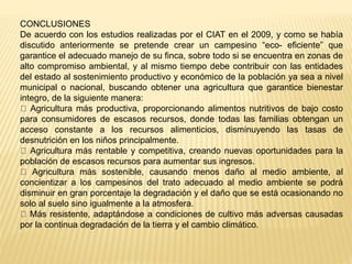 CONCLUSIONES
De acuerdo con los estudios realizadas por el CIAT en el 2009, y como se había
discutido anteriormente se pretende crear un campesino “eco- eficiente” que
garantice el adecuado manejo de su finca, sobre todo si se encuentra en zonas de
alto compromiso ambiental, y al mismo tiempo debe contribuir con las entidades
del estado al sostenimiento productivo y económico de la población ya sea a nivel
municipal o nacional, buscando obtener una agricultura que garantice bienestar
integro, de la siguiente manera:
Agricultura más productiva, proporcionando alimentos nutritivos de bajo costo
para consumidores de escasos recursos, donde todas las familias obtengan un
acceso constante a los recursos alimenticios, disminuyendo las tasas de
desnutrición en los niños principalmente.
Agricultura más rentable y competitiva, creando nuevas oportunidades para la
población de escasos recursos para aumentar sus ingresos.
Agricultura más sostenible, causando menos daño al medio ambiente, al
concientizar a los campesinos del trato adecuado al medio ambiente se podrá
disminuir en gran porcentaje la degradación y el daño que se está ocasionando no
solo al suelo sino igualmente a la atmosfera.
Más resistente, adaptándose a condiciones de cultivo más adversas causadas
por la continua degradación de la tierra y el cambio climático.
 