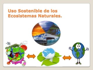 Uso Sostenible de los
Ecosistemas Naturales.
 