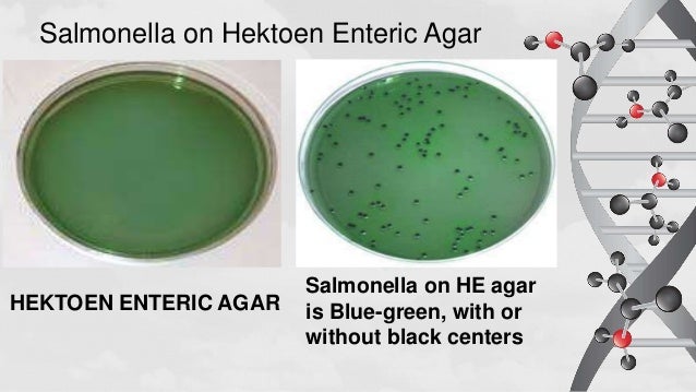 Cusp 2021 2022 Microbial Enumeration Tests For Nutritional And Dietar