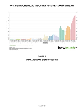 U.S. PETROCHEMICAL INDUSTRY FUTURE - DOWNSTREAM
Page 23 of 28
FIGURE 6
WHAT AMERICANS SPEND MONEY ON?
 