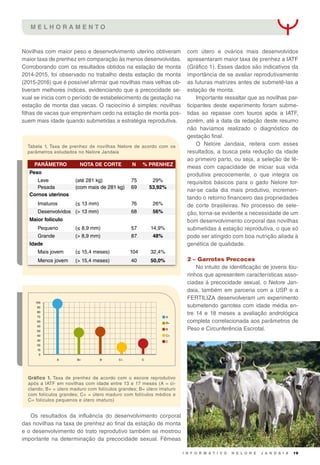 I N F O R M A T I V O N E L O R E J A N D A I A 19
M E L H O R A M E N T O
Tabela 1. Taxa de prenhez de novilhas Nelore de acordo com os
parâmetros estudados no Nelore Jandaia
PARÂMETRO NOTA DE CORTE N % PRENHEZ
Peso      
  Leve (até 281 kg) 75 29%
  Pesada (com mais de 281 kg) 69 53,92%
Cornos uterinos      
  Imaturos (≤ 13 mm) 76 26%
Desenvolvidos (> 13 mm) 68 56%
Maior folículo      
  Pequeno (≤ 8,9 mm) 57 14,9%
Grande (> 8,9 mm) 87 48%
Idade      
  Mais jovem (≤ 15,4 meses) 104 32,4%
  Menos jovem (> 15,4 meses) 40 50,0%
Novilhas com maior peso e desenvolvimento uterino obtiveram
maior taxa de prenhez em comparação às menos desenvolvidas.
Corroborando com os resultados obtidos na estação de monta
2014-2015, foi observado no trabalho desta estação de monta
(2015-2016) que é possível afirmar que novilhas mais velhas ob-
tiveram melhores índices, evidenciando que a precocidade se-
xual se inicia com o período de estabelecimento da gestação na
estação de monta das vacas. O raciocínio é simples: novilhas
filhas de vacas que emprenham cedo na estação de monta pos-
suem mais idade quando submetidas a estratégia reprodutiva.
Os resultados da influência do desenvolvimento corporal
das novilhas na taxa de prenhez ao final da estação de monta
e o desenvolvimento do trato reprodutivo também se mostrou
importante na determinação da precocidade sexual. Fêmeas
com útero e ovários mais desenvolvidos
apresentaram maior taxa de prenhez a IATF
(Gráfico 1). Esses dados são indicativos da
importância de se avaliar reprodutivamente
as futuras matrizes antes de submetê-las a
estação de monta.
Importante ressaltar que as novilhas par-
ticipantes deste experimento foram subme-
tidas ao repasse com touros após a IATF,
porém, até a data da redação deste resumo
não havíamos realizado o diagnóstico de
gestação final.
O Nelore Jandaia, reitera com esses
resultados, a busca pela redução da idade
ao primeiro parto, ou seja, a seleção de fê-
meas com capacidade de iniciar sua vida
produtiva precocemente, o que integra os
requisitos básicos para o gado Nelore tor-
nar-se cada dia mais produtivo, incremen-
tando o retorno financeiro das propriedades
de corte brasileiras. No processo de sele-
ção, torna-se evidente a necessidade de um
bom desenvolvimento corporal das novilhas
submetidas à estação reprodutiva, o que só
pode ser atingido com boa nutrição aliada à
genética de qualidade.
2 – Garrotes Precoces
No intuito de identificação de jovens tou-
rinhos que apresentem características asso-
ciadas à precocidade sexual, o Nelore Jan-
daia, também em parceria com a USP e a
FERTILIZA desenvolveram um experimento
submetendo garrotes com idade média en-
tre 14 e 18 meses a avaliação andrológica
completa correlacionada aos parâmetros de
Peso e Circunferência Escrotal.
Gráfico 1. Taxa de prenhez de acordo com o escore reprodutivo
após a IATF em novilhas com idade entre 13 e 17 meses (A = ci-
clando; B+ = útero maduro com folículos grandes; B= útero imaturo
com folículos grandes; C+ = útero maduro com folículos médios e
C= folículos pequenos e útero imaturo)
A
A
100
90
80
70
60
50
50
40
30
20
10
0
B+
B+
C+
C+
C
C
B
B
 