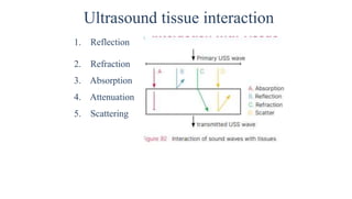 Ultrasound tissue interaction
1. Reflection
2. Refraction
3. Absorption
4. Attenuation
5. Scattering
 