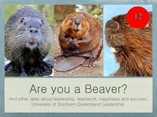 Are you a Beaver? ,[object Object],[object Object]