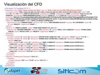 Visualización del CFD
 
