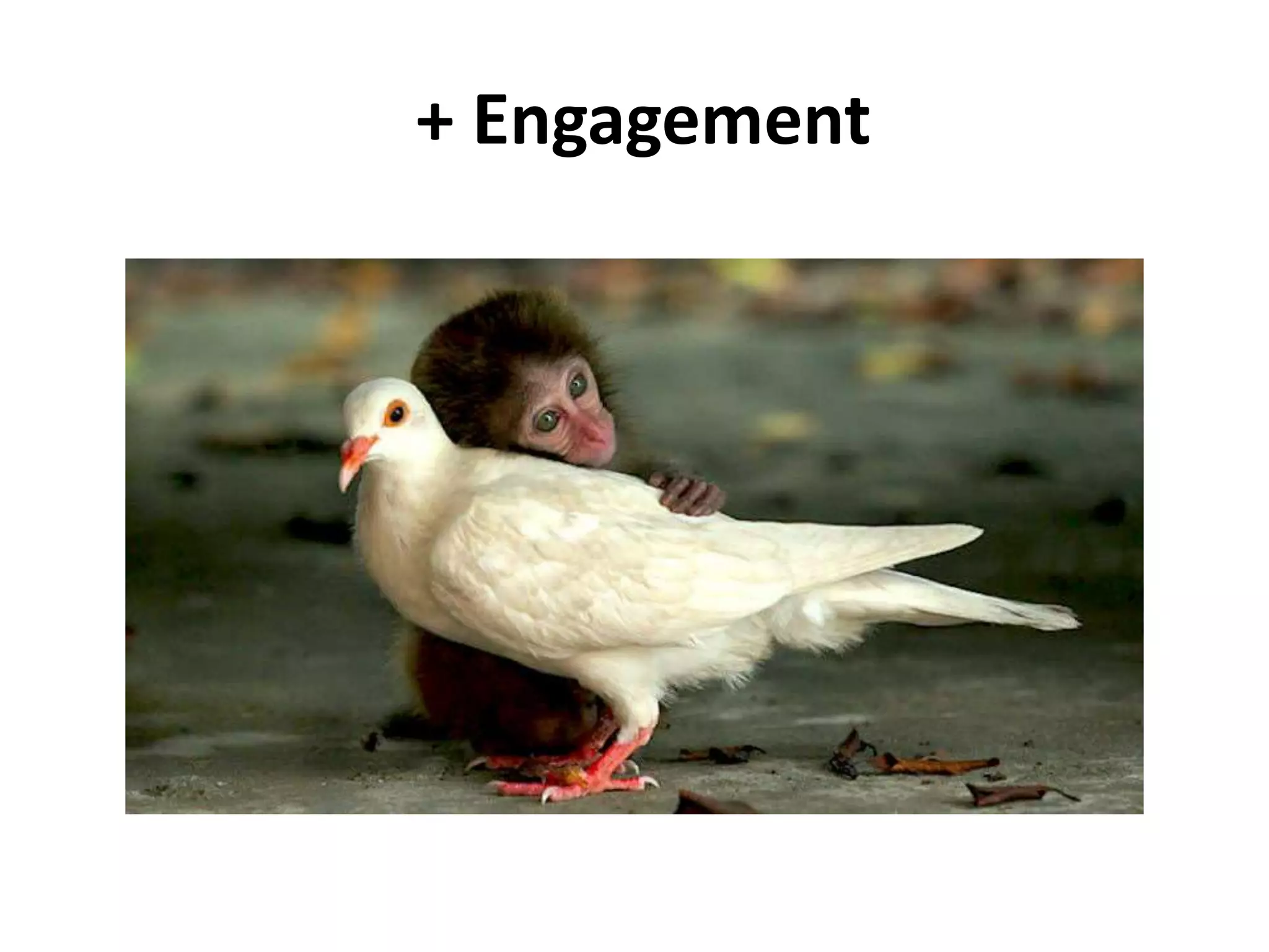 + Engagement
 