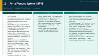 Comprehensive Ultrasound Imaging of Normal Abdominal Venous Vasculature ...