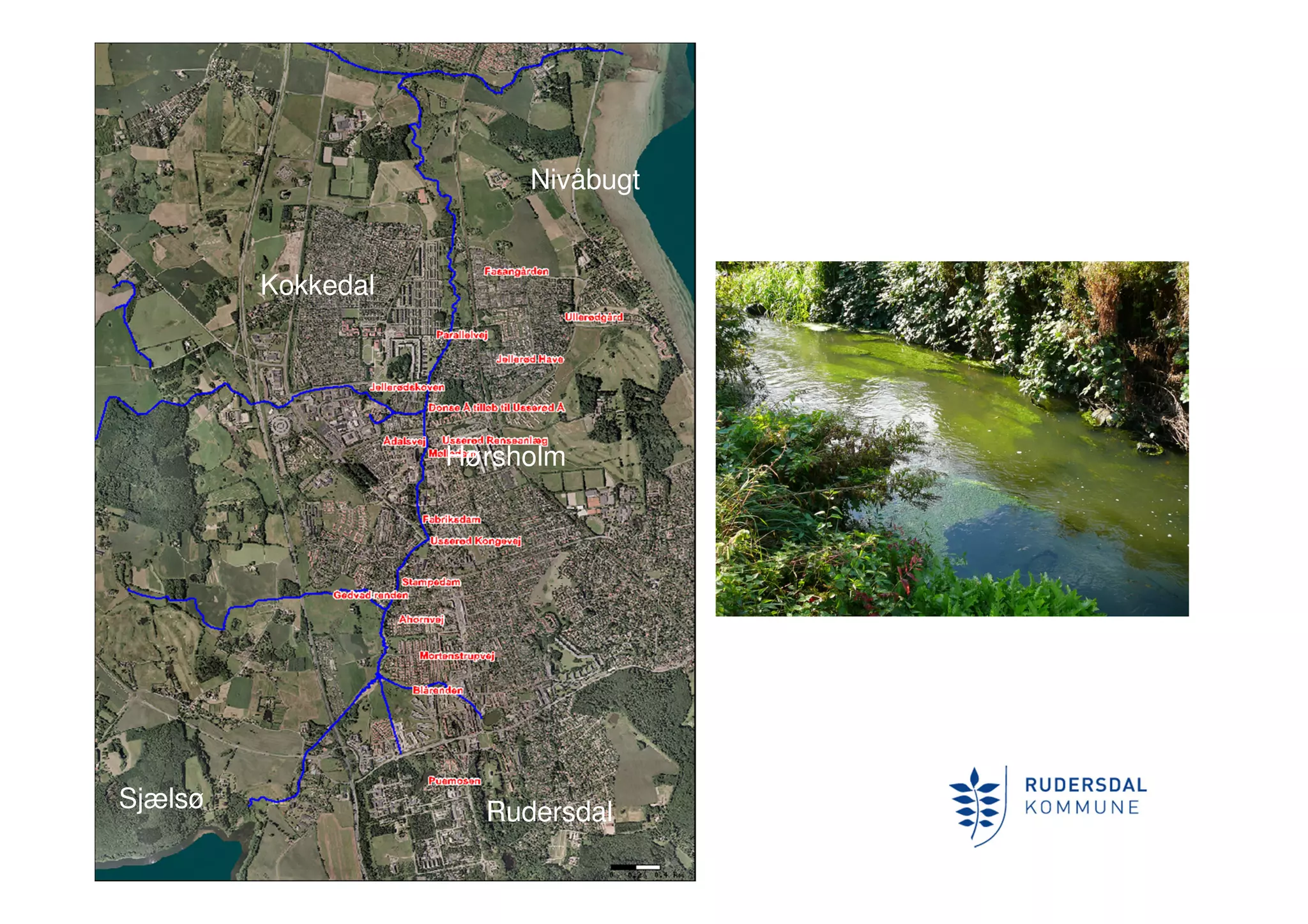 Usserød Å
Nivåbugt
Kokkedal
Hørsholm
Sjælsø Rudersdal
 