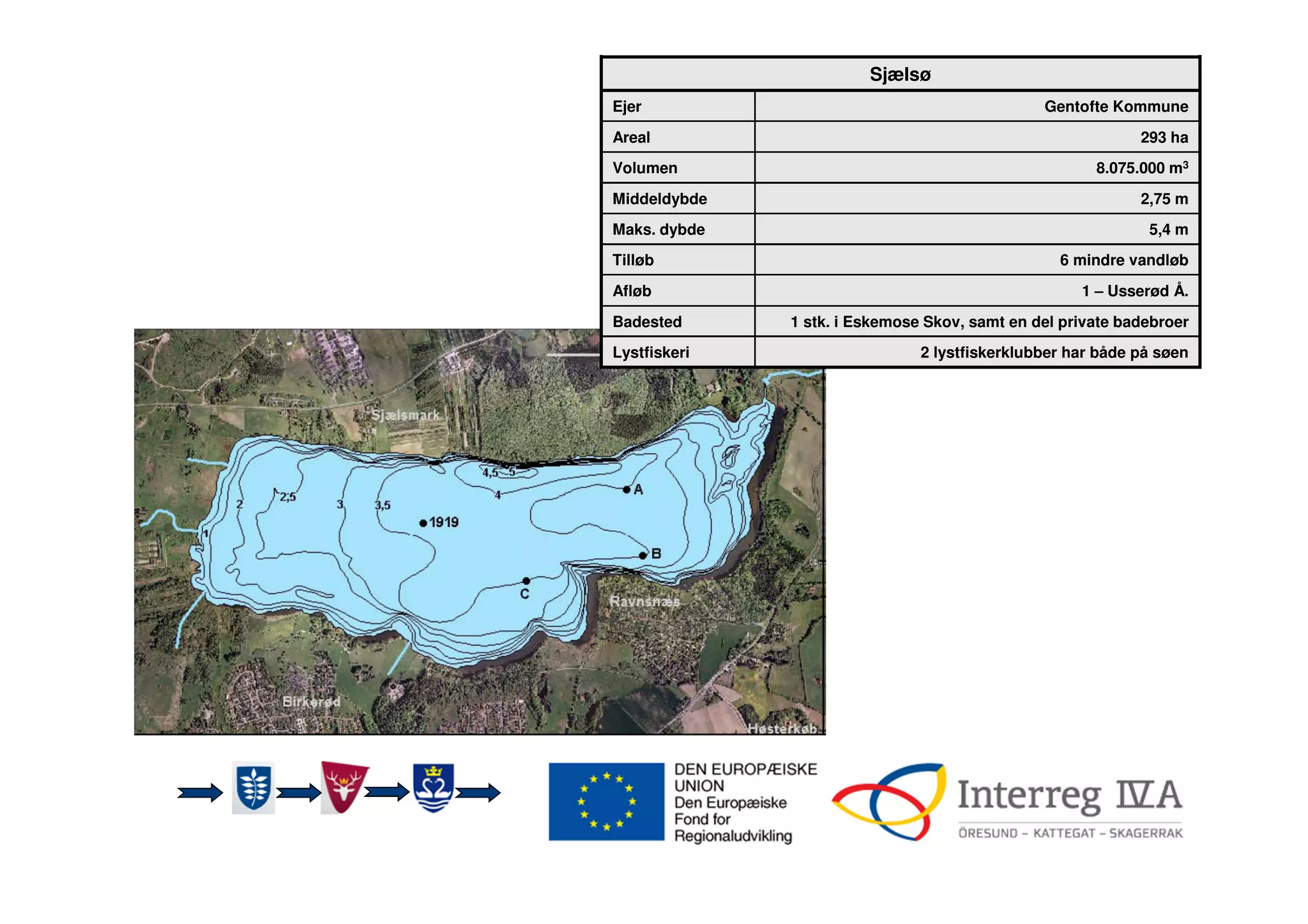 Ringsjön
Sjælsø
Ejer Gentofte Kommune
Areal 293 ha
Volumen 8.075.000 m3
Middeldybde 2,75 m
Maks. dybde 5,4 m
Tilløb 6 mindre vandløb
Afløb 1 – Usserød Å.
Badested 1 stk. i Eskemose Skov, samt en del private badebroer
Lystfiskeri 2 lystfiskerklubber har både på søen
 