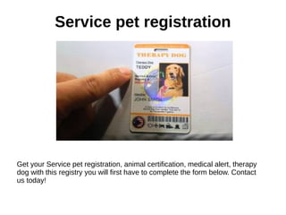 Service pet registration
Get your Service pet registration, animal certification, medical alert, therapy
dog with this registry you will first have to complete the form below. Contact
us today!