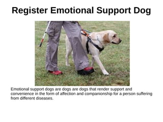 Register Emotional Support Dog
Emotional support dogs are dogs are dogs that render support and
convenience in the form of affection and companionship for a person suffering
from different diseases.