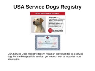 USA Service Dogs Registry
USA Service Dogs Registry doesn’t mean an individual dog is a service
dog. For the best possible service, get in touch with us today for more
information.
 