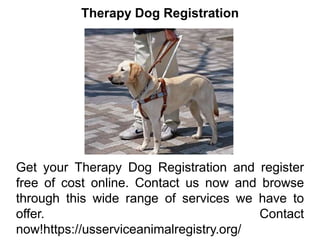 Therapy Dog Registration
Get your Therapy Dog Registration and register
free of cost online. Contact us now and browse
through this wide range of services we have to
offer. Contact
now!https://usserviceanimalregistry.org/
 