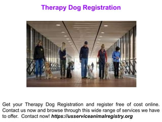 Therapy Dog Registration
Get your Therapy Dog Registration and register free of cost online.
Contact us now and browse through this wide range of services we have
to offer. Contact now! https://usserviceanimalregistry.org
 