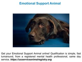 Emotional Support Animal
Get your Emotional Support Animal online! Qualification is simple, fast
turnaround, from a registered mental health professional, same day
service. https://usserviceanimalregistry.org
 