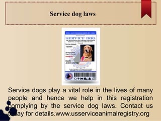 Service dog laws
Service dogs play a vital role in the lives of many
people and hence we help in this registration
complying by the service dog laws. Contact us
today for details.www.usserviceanimalregistry.org
 