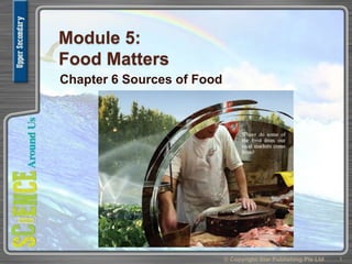 Module 5:
Food Matters
Chapter 6 Sources of Food
1© Copyright Star Publishing Pte Ltd
 