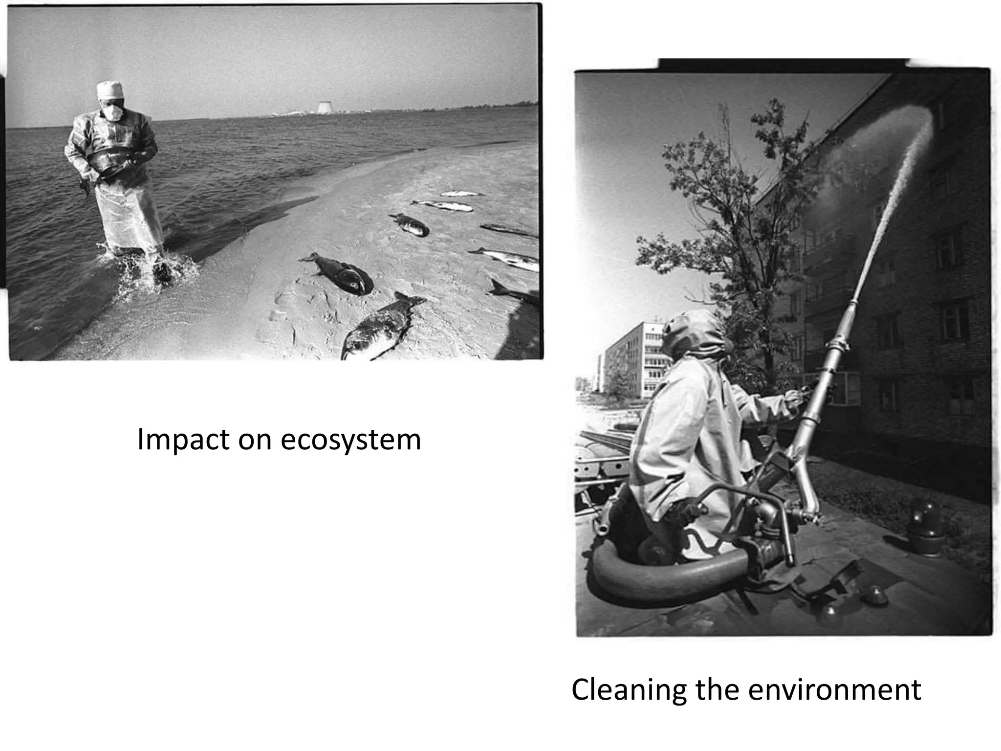 Impact on ecosystem
Cleaning the environment
 