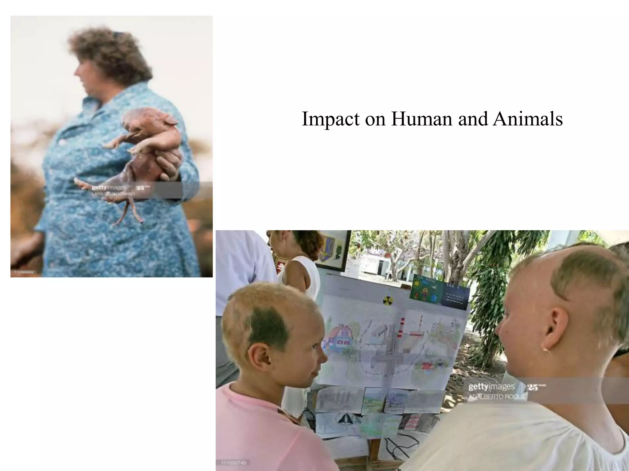 Impact on Human and Animals
 