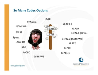 So Many Codec Options

                             iSAC
               RTAudio
                                     G.729...