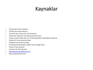 Kaynaklar
• Standring S. Gray's Anatomy
• Yıldırım M. İnsan Anatomisi
• Snell RS. (Çev: Yıldırım M.). Klinik Anatomi.
• Moore KL, Dalley AF. Clinically Oriented Anatomy.
• Gray's Anatomi Atlası (Çev. Ed.: Prof.Dr.Sezgin İlgi, Prof.Dr.Mehmet Yıldırım),
• Netter FH, İnsan Anatomisi Atlası
• Sobotta İnsan Anatomisi Atlası
• Fonksiyonel Nöroanatomi. Editör. Prof. Dr. Doğan Taner.
• Ozan H, Ozan Anatomi
• Cumhur M. Temel Anatomi
• http://anatomi.tip.akdeniz.edu.tr/
• https://www.kenhub.com/
 