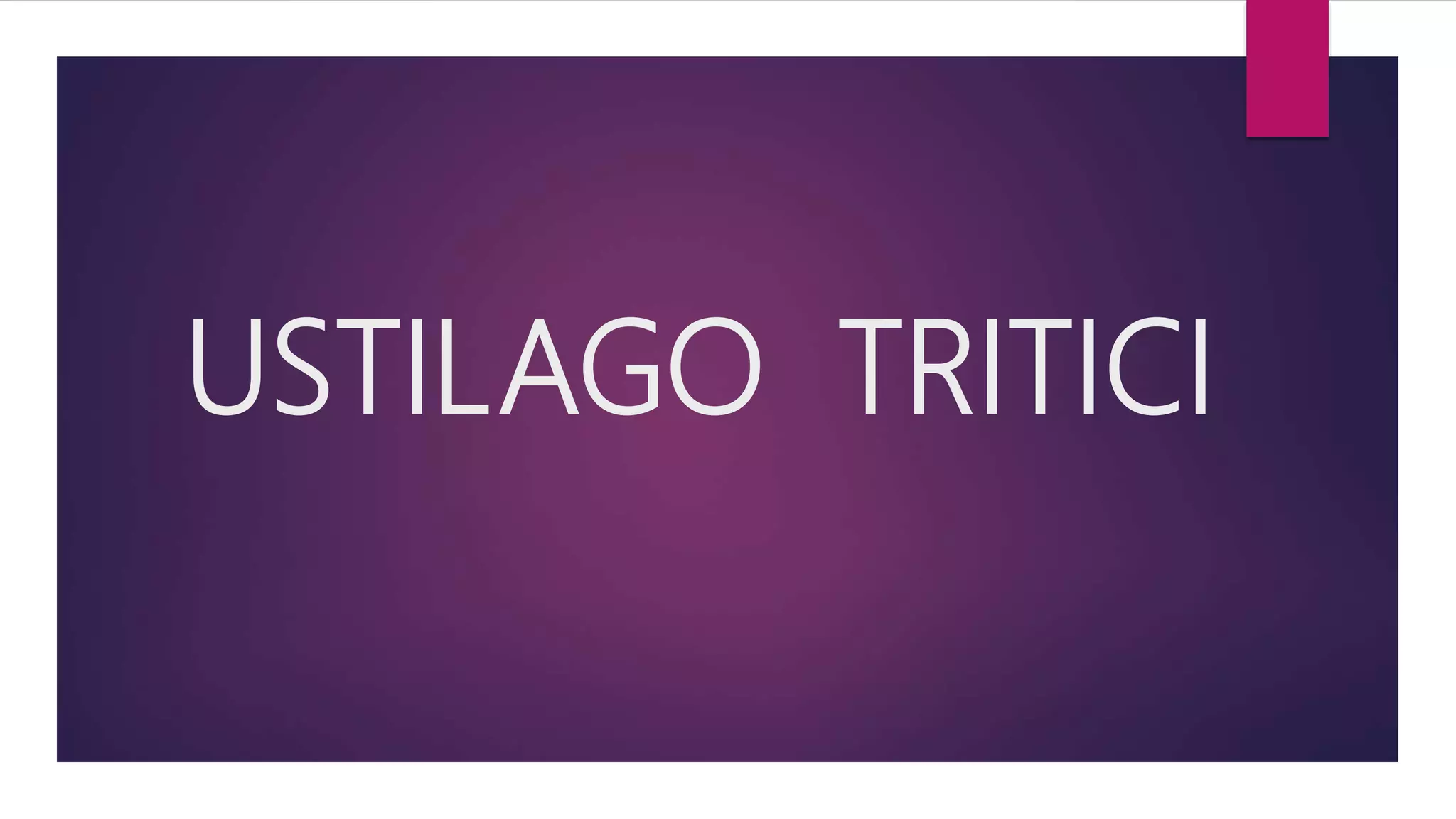 Katta dildo va mega kokraklar Yandex: Katta uy bekalarining dumbalari