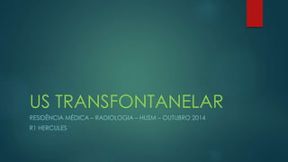 US TRANSFONTANELAR 
RESIDÊNCIA MÉDICA – RADIOLOGIA – HUSM – OUTUBRO 2014 
R1 HERCULES 
 