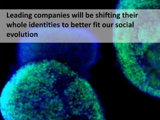 Leading companies will be shifting their wholeidentities to better fit our social evolution<br />