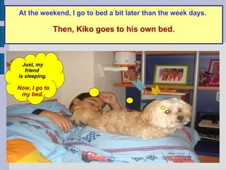 At the weekend, I go to bed a bit later than the week days.   Then, Kiko goes to his own bed. Just, my friend  is sleeping. Now,   I go to my bed. 