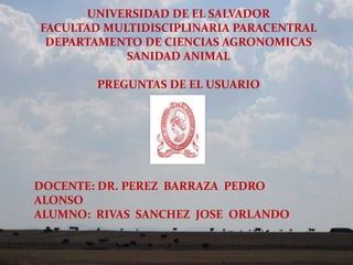 UNIVERSIDAD DE EL SALVADOR
FACULTAD MULTIDISCIPLINARIA PARACENTRAL
DEPARTAMENTO DE CIENCIAS AGRONOMICAS
SANIDAD ANIMAL
PREGUNTAS DE EL USUARIO

DOCENTE: DR. PEREZ BARRAZA PEDRO
ALONSO
ALUMNO: RIVAS SANCHEZ JOSE ORLANDO

 