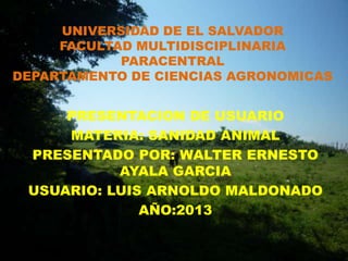 UNIVERSIDAD DE EL SALVADOR
FACULTAD MULTIDISCIPLINARIA
PARACENTRAL
DEPARTAMENTO DE CIENCIAS AGRONOMICAS

PRESENTACION DE USUARIO
MATERIA: SANIDAD ANIMAL
PRESENTADO POR: WALTER ERNESTO
AYALA GARCIA
USUARIO: LUIS ARNOLDO MALDONADO
AÑO:2013

 