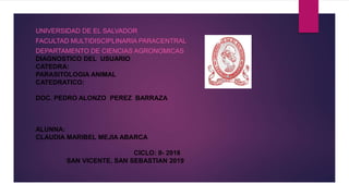 UNIVERSIDAD DE EL SALVADOR
FACULTAD MULTIDISCIPLINARIA PARACENTRAL
DEPARTAMENTO DE CIENCIAS AGRONOMICAS
DIAGNOSTICO DEL USUARIO
CATEDRA:
PARASITOLOGIA ANIMAL
CATEDRATICO:
DOC. PEDRO ALONZO PEREZ BARRAZA
ALUNNA:
CLAUDIA MARIBEL MEJIA ABARCA
CICLO: II- 2018
SAN VICENTE, SAN SEBASTIAN 2019
 