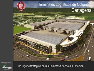 Terminales Logísticos de Colombia
Cartagena
Un lugar estratégico para su empresa hecho a su medida
Sabemos Cómo
 