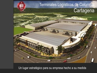 Terminales Logísticos de Colombia

Cartagena

Un lugar estratégico para su empresa hecho a su medida

 