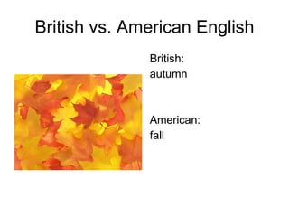 British vs. American English ,[object Object],[object Object],[object Object],[object Object]