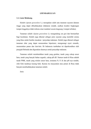 Seledri (Apium graveolens): Tanaman Obat Keluarga Multifungsi untuk Kesehatan Jantung, Ginjal, dan Daya Tahan Tubuh