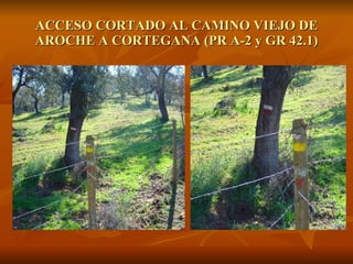 ACCESO CORTADO AL CAMINO VIEJO DE AROCHE A CORTEGANA (PR A-2 y GR 42.1) 