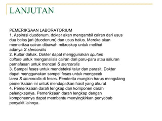 LANJUTAN
PEMERIKSAAN LABORATORIUM
1. Aspirasi duodenum. dokter akan mengambil cairan dari usus
dua belas jari (duodenum) dan usus halus. Mereka akan
memeriksa cairan dibawah mikroskop untuk melihat
adanya S stercoralis
2. Kultur dahak. Dokter dapat menggunakan sputum
culture untuk menganalisis cairan dari paru-paru atau saluran
pernafasan untuk mencari S stercoralis
3. Sampel feses untuk mendeteksi telur dan parasit. Dokter
dapat menggunakan sampel feses untuk mengecek
larva S stercoralis di feses. Penderita mungkin harus mengulang
pemeriksaan ini untuk mendapatkan hasil yang akurat
4. Pemeriksaan darah lengkap dan komponen darah
pelengkapnya. Pemeriksaan darah lengkap dengan
komponennya dapat membantu menyingkirkan penyebab
penyakit lainnya.
 
