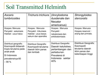Ascaris
lumbricoides
Trichuris trichiura (Ancylostoma
duodenale dan
Necator
americanus)
Strongyloides
stercoralis
Hospes: Manusia Hospes : Manusia Hospes : Manusia Hospes :Manusia
Penyakit : askariasis
Habitat : usus halus
Penyakit : trikuriasis
Habitat : usus besar,
sekum dan apendiks
Penyakit :
nekatoriasis dan
ankilostomiasis
Hospes reservoir :
anjing dan primata.
Distribusi geografis :
Kosmopolit didaerah
tropis terutama pada
anak-anak
Di Indonesia
prevalensinya 60
– 90 %
Distribusi Geografis:
Kosmopolit terutama
daerah iklim panas
dan lembab
Distribusi Geografis:
Daerah katulistiwa,
pertambangan dan
perkebunan.
Prevalensi di
Indonesia sekitar
40%
Distribusi Geografis:
Kosmopolit
terutama daerah
iklim panas dan
kelembapan tinggi
Soil Transmitted Helminth
 