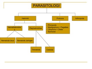 Nemathelminthe
s
Platyhelminthes
Nematoda Usus Nematoda Jaringan
Trematoda Cestoda
Protozoa
Helminth Arthropoda
- Rhizopoda
- Mastigophora = Flagellata
- Ciliophora = Ciliata
- Sporozoa
PARASITOLOGI
 