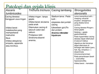 Patologi dan gejala klinis
Ascaris
lumbricoides
Trichuris trichiura Cacing tambang Strongyloides
stercoralis
Cacing dewasa:
Gangguan usus ringan
Infeksi ringan : tanpa
gejala
Infeksi berat, terutama
pada anak
Stadium larva : Pada
kulit :
a)spesies dan jumlah
cacing
b)keadaan gizi (Fe
dan protein.
Anemia mikrositer
hipokrom
Larva menembus kulit □
creeping urticarial
eruption, serpiginous
yang disebut larva
currens
Infeksi berat :
malabsorbsi yang
memperberat
malnutrisi
Ileus
Infeksi ektopik ke
Ditemukan cacing di
seluruh colon dan
rektum
Prolapsus rekti
Sindroma disentri
anemia.
Cacing dewasa Ringan□
tanpa gejala
Sedang □ gejala
gastrointestinal.
Pada hyperinfeksi cacing
dewasa dapat ditemukan
di seluruh traktus
empedu, appendix digestivus dan larvanya
atau bronkus. dapat ditemukan di
berbagai alat dalam (paru,
hati, ktg. empedu)---□
disseminata
(imunocompromise)
Pada pemeriksaan darah
□ eosinofilia/
hipereosinofilia.
Infeksi berat □ kematian
 