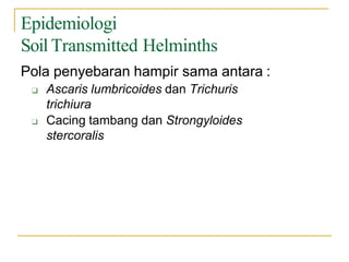 Epidemiologi
Soil Transmitted Helminths
Pola penyebaran hampir sama antara :
❑ Ascaris lumbricoides dan Trichuris
trichiura
❑ Cacing tambang dan Strongyloides
stercoralis
 