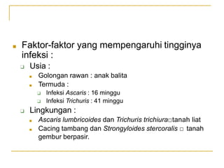 ■ Faktor-faktor yang mempengaruhi tingginya
infeksi :
❑ Usia :
■ Golongan rawan : anak balita
■ Termuda :
❑ Infeksi Ascaris : 16 minggu
❑ Infeksi Trichuris : 41 minggu
❑ Lingkungan :
■ Ascaris lumbricoides dan Trichuris trichiura□tanah liat
■ Cacing tambang dan Strongyloides stercoralis □ tanah
gembur berpasir.
 