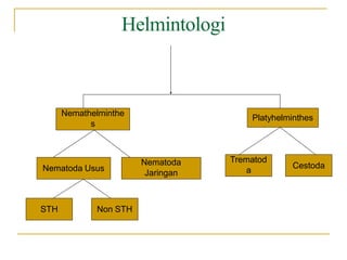 Helmintologi
Nemathelminthe
s
Platyhelminthes
Nematoda Usus
Nematoda
Jaringan
Trematod
a
Cestoda
STH Non STH
 